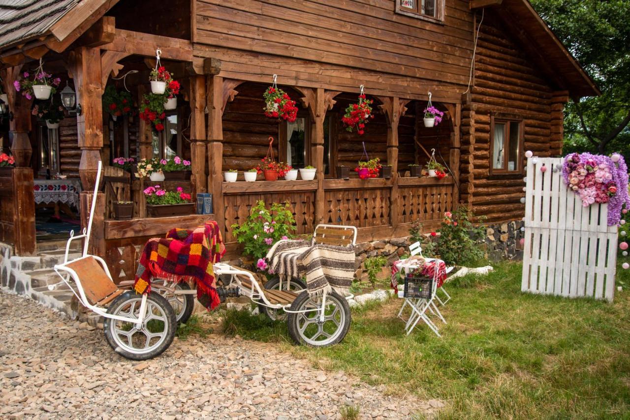 Lodge Cabanele Rus